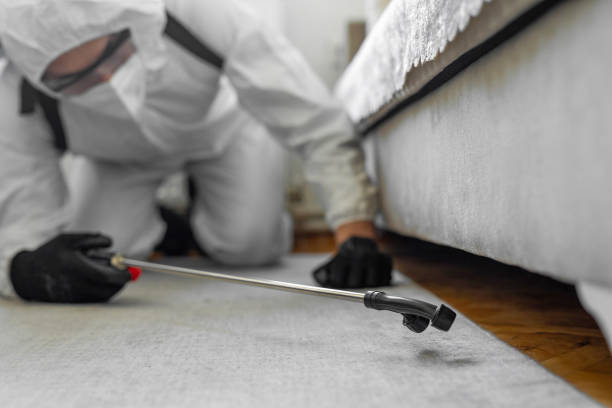 Professional Termite Control technician working in Foscoe, NC